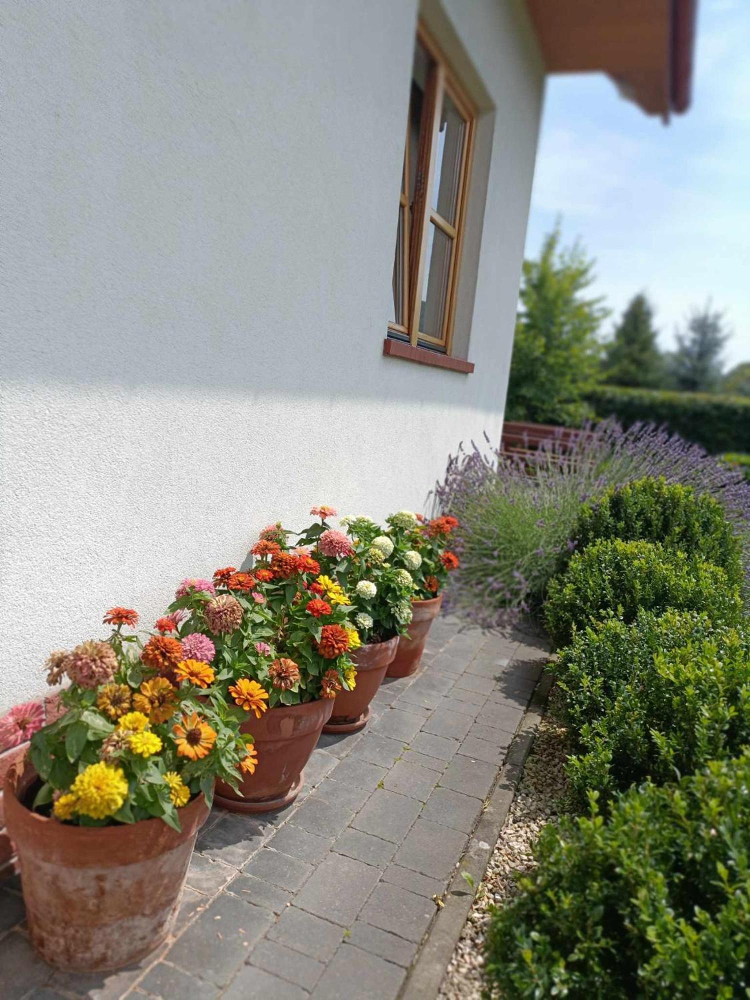 Noclegi Koniadów Solina (Podkarpackie) Exterior foto